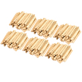 Teacher Created Resources STEM Basics: Skill Sticks, PK1500 TCR20936